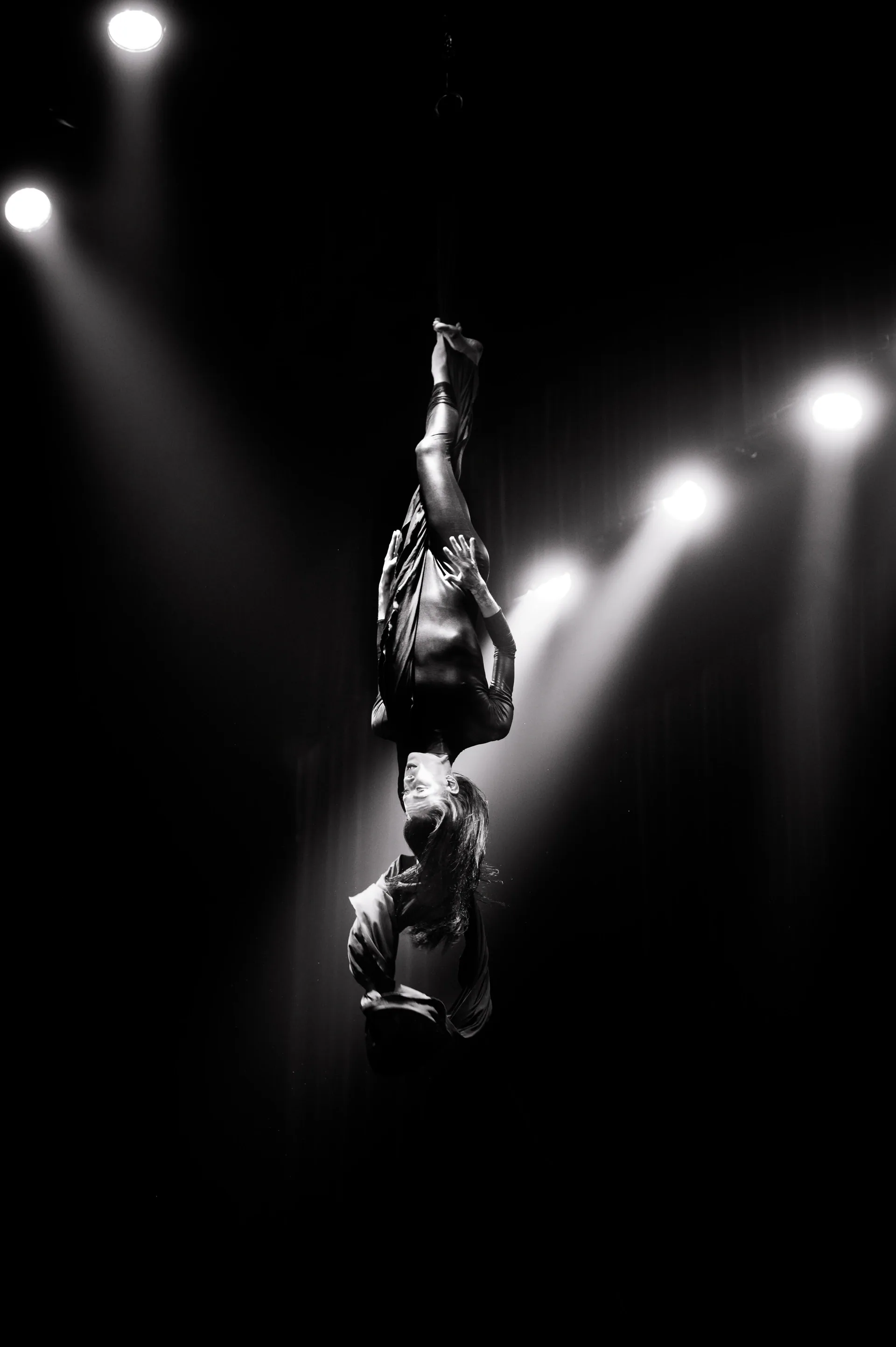 Inverted aerial performer hangs vertically beneath a row of spotlights.