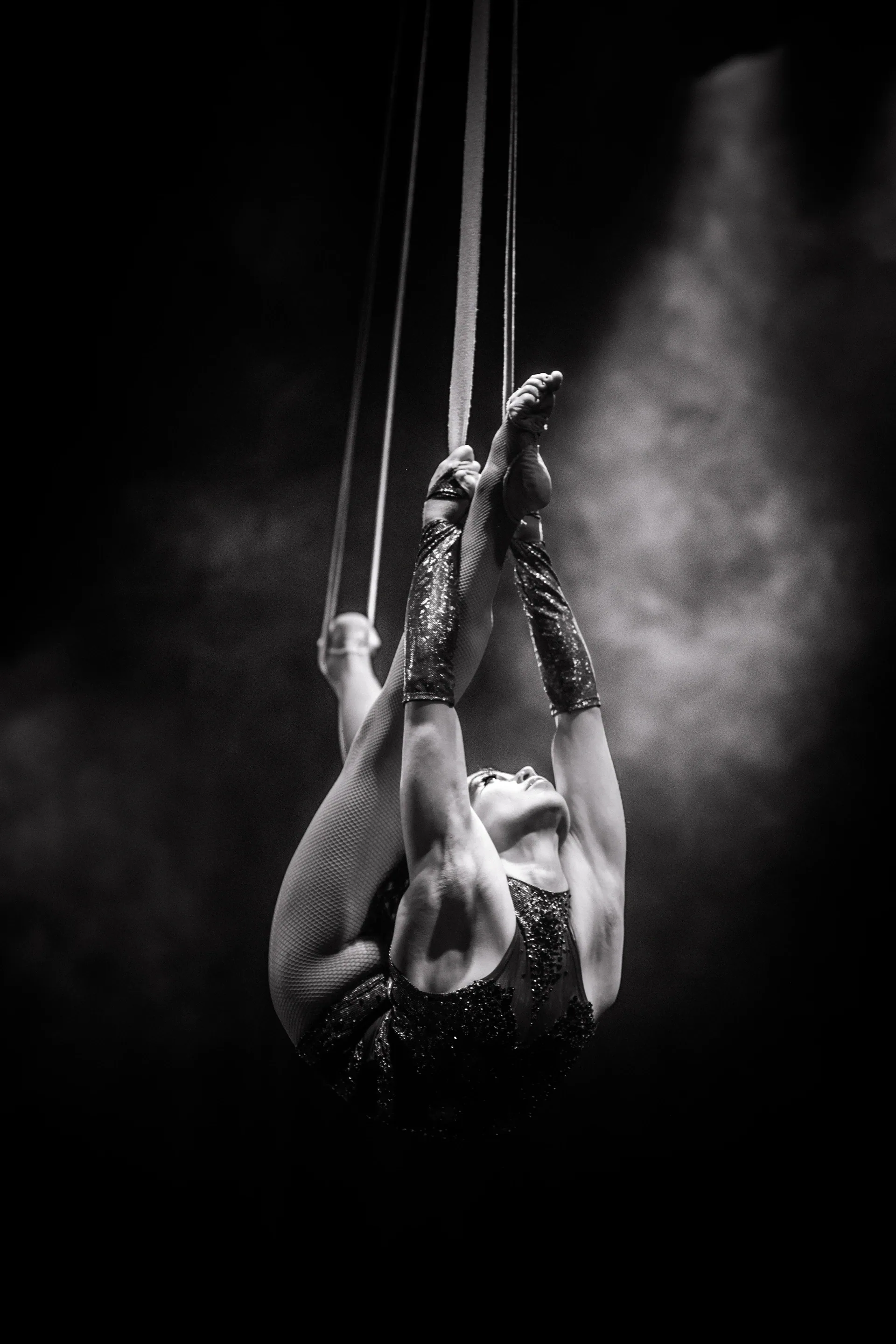 Aerial performer curls around two vertical straps beneath spotlights.