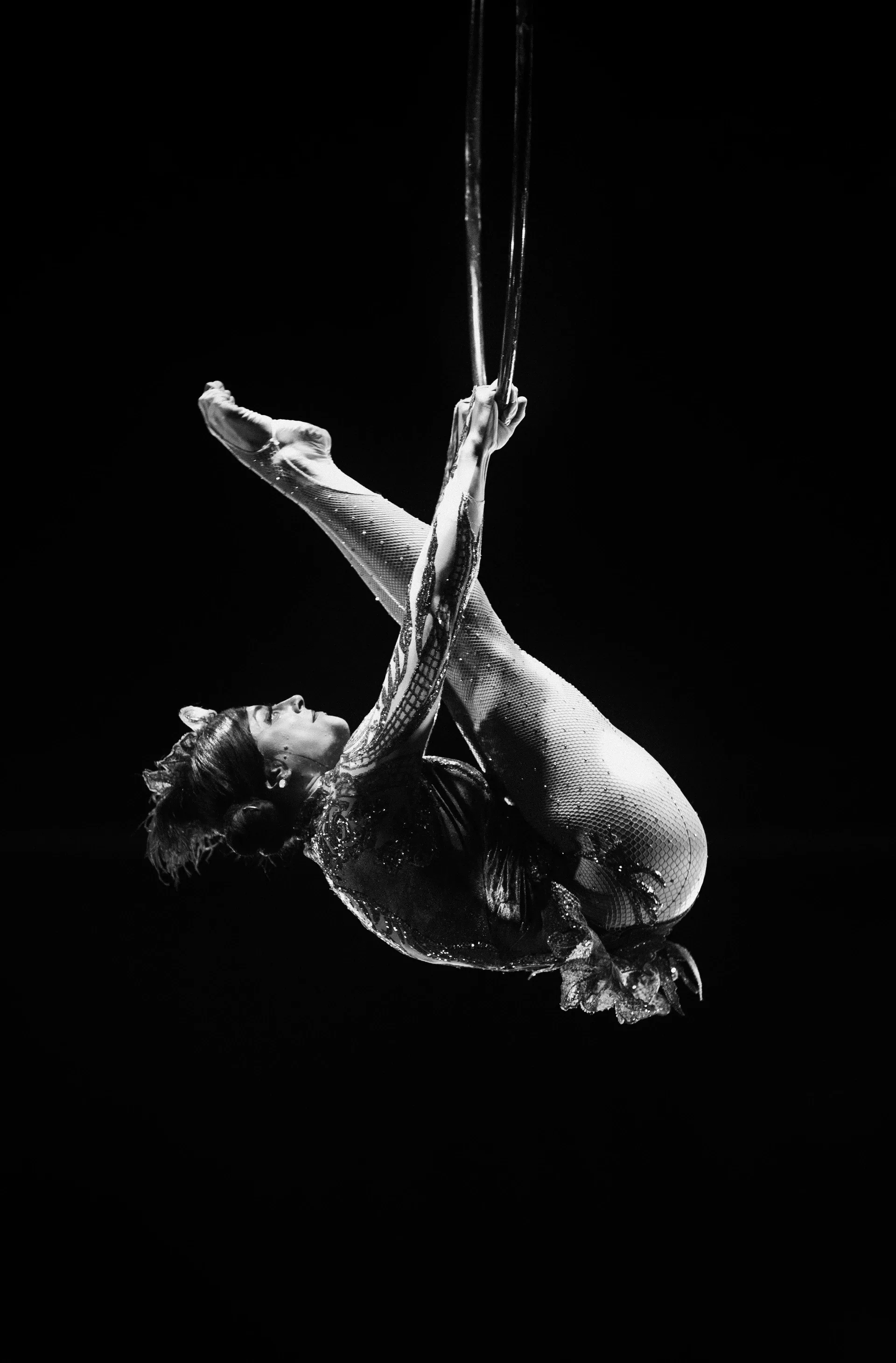 Two aerialists hang intertwined from vertical straps.