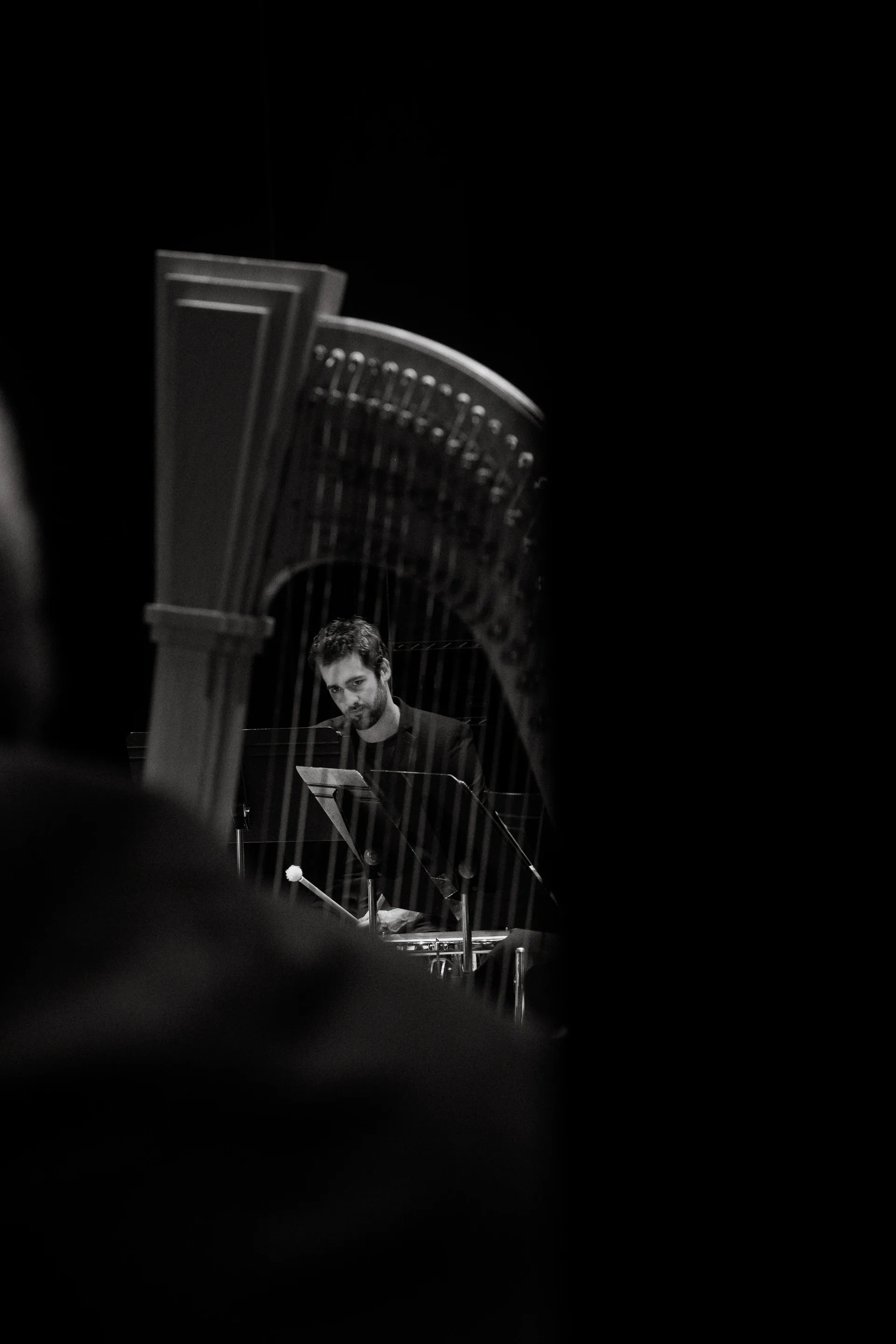 Harpist is seen through the vertical strings of a concert harp.